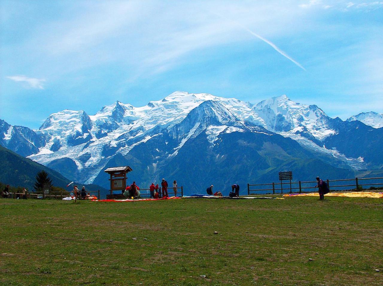 Les Edelweiss Mont-Blanc - Gite Classe 3 Etoiles Passy  Exterior foto